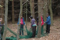 Bushcraft photo