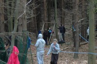 Bushcraft photo
