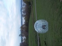 Hamster Zorbs photo