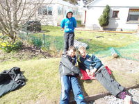 Pedal Cars photo