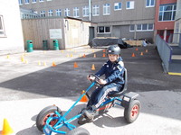 Pedal Cars photo