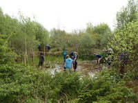 Service Project photo