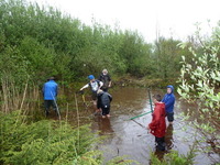 Service Project photo
