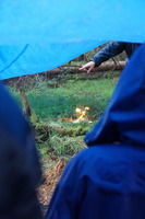 Backwoods Cooking photo