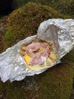 Backwoods Cooking :: Tree Climb Leap of Faith  photo