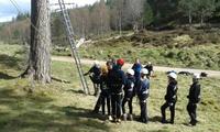 Backwoods Cooking :: Tree Climb Leap of Faith  photo