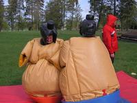 Sumo Wrestling photo