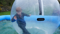 Water Walkers photo