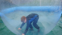 Water Walkers photo