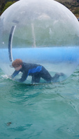 Water Walkers photo