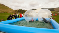 Water Walkers photo