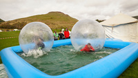 Water Walkers photo