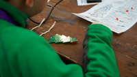 Walking Nachos / Crafts / Chefs Challenge / Electronics  photo