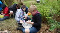 Tomahawk Throwing / Camp Pizza / Branding photo