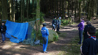 Bush Craft / Gorge Walk photo