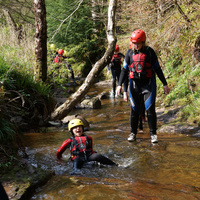 Bush Craft / Gorge Walk photo