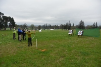 Archery photo
