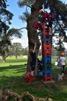 Crate Climbing photo