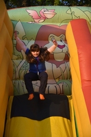 Giant Slide photo