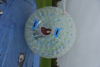Hamster Zorbes photo