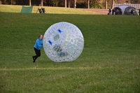 Hamster Zorbes photo