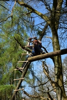 High Balance photo