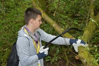 Service Project photo