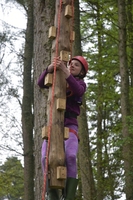 Wobble Pole photo