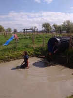 Assault Course photo