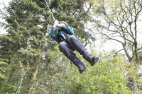 3G Swing photo