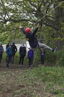 3G Swing photo