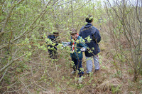 Service Project photo
