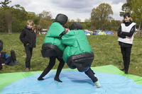 Scout Sumo photo