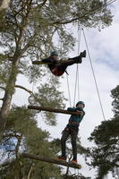 Jacobs Ladder photo