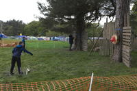 Tomahawk Throwing photo