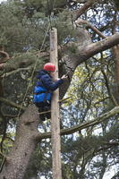 Peg Pole Climb photo