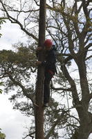 Peg Pole Climb photo