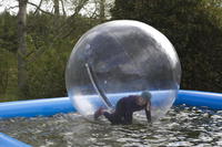 Water Walkers photo