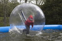Water Walkers photo