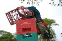 Crate Climbing photo