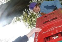Crate Climbing photo