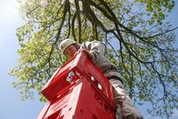 Crate Climbing photo