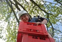 Crate Climbing photo