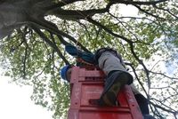 Crate Climbing photo