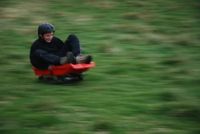 Grass Sledges photo