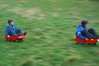Grass Sledges photo