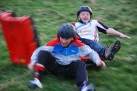Grass Sledges photo
