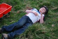 Grass Sledges photo