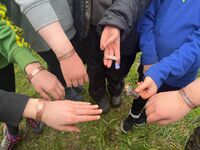Camp skills photo