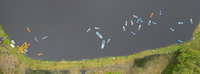 Watersports photo
